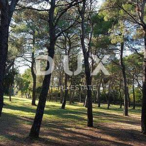 ROVINJ - građevinski teren 1600m2 za hotel / boutique hotel / motel / kamp /apartmane / ville - kuće za iznajmljivanje sa bazen...