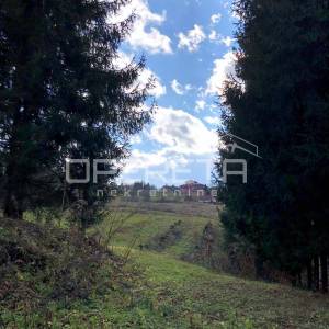 Rožman brdo bb, Vrbovsko, 40.212,00 m2, 1,00 EUR