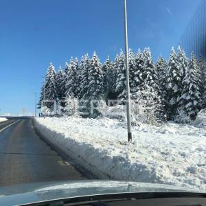 Rožman brdo bb, Vrbovsko, 40.212,00 m2, 1,00 EUR
