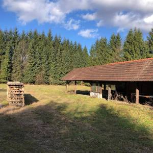 Rožman brdo bb, Vrbovsko, 40.212,00 m2, 1,00 EUR