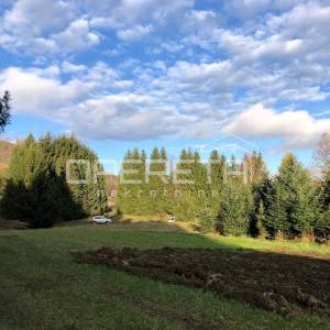 Rožman brdo bb, Vrbovsko, 40.212,00 m2, 1,00 EUR