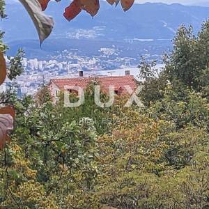 RUKAVAC - građevinski teren 3100m2 za stambenu zgradu - stanove  obiteljsku kuću