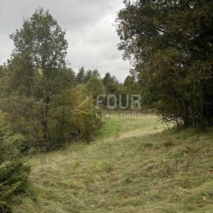 Rupa, zemljište 5.021m2