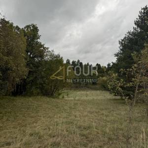 Rupa, zemljište 5.021m2
