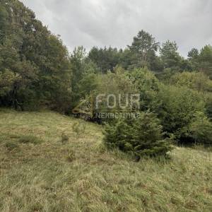 Rupa, zemljište 5.021m2