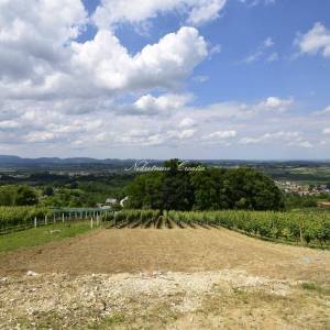  SALINOVEC, GRAĐEVINSKO 