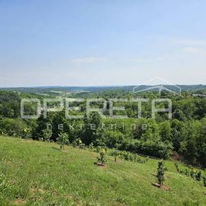 Selnica Psarjevačka, Turizam, 1,00 EUR