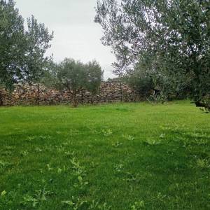 ŠIBENIK, ZATON - Prostrano imanje s objektom i građevinskom dozvolom