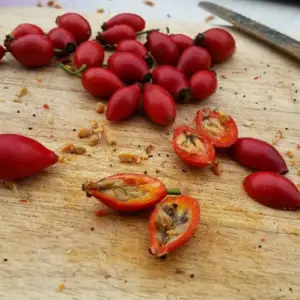 Šipak pasirani