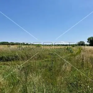 Šišan poljoprivredno zemljište, 1.250 m2, na rubu urbanizacije