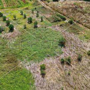 Šišan poljoprivredno zemljište, 1.250 m2, na rubu urbanizacije