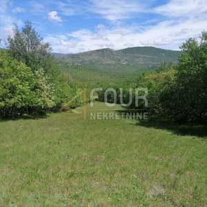 Škrljevo, zemljište 9.925m2