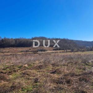 SLUNJ, PRIMIŠLJE- Zemljište od 86269 m2 s ruševnom kućom 
