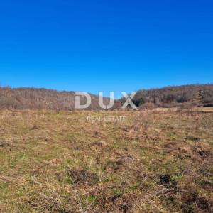 SLUNJ, PRIMIŠLJE- Zemljište od 86269 m2 s ruševnom kućom 