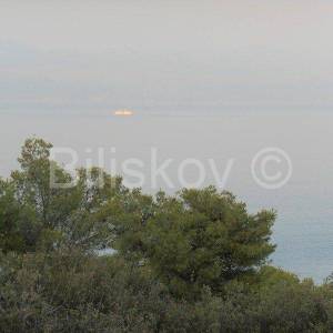 Šolta, 7345m2 poljoprivredno, otvoren pogled na more