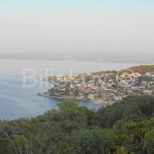Šolta, 7345m2 poljoprivredno, otvoren pogled na more