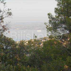 Šolta, 7345m2 poljoprivredno, otvoren pogled na more