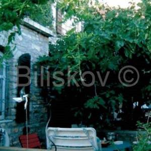 Šolta, Gornje Selo kamena kuća 190 m2, parcela 800 m2