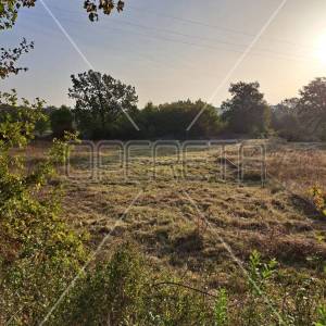 Sošići, Sošići, 809,00 m2, 75.000,00 EUR