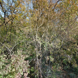 SRDOČI - građevinski teren 1751m2 za stambenu zgradu–stanove /obiteljsku kuću