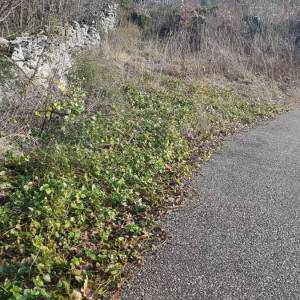 SRDOČI - REŠETARI - KASTAV- građ zemljište 1900m2 za stambenu (posl.-stamb) zgradu–stanove /apartmane /obiteljsku kuću / villu ...