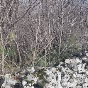 SRDOČI - REŠETARI - KASTAV- građ zemljište 1900m2 za stambenu (posl.-stamb) zgradu–stanove /apartmane /obiteljsku kuću / villu ...