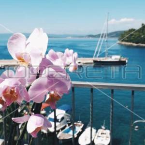 Stan s 2 sobe i terasom, 7 m do mora, pogled na more, Račišće, Korčula