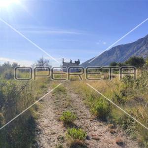 Stanković, Stanković, 1.137,00 m2, 200.000,00 EUR
