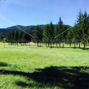 Stari Laz, Stari Laz, 4.440,00 m2, 150.000,00 EUR
