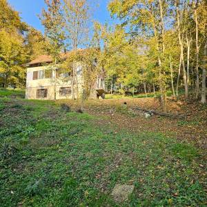 Štefanovec, Markuševec, 3.861,00 m2, 310.000,00 EUR