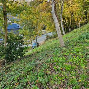 Štefanovec, Markuševec, 3.861,00 m2, 310.000,00 EUR