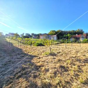 Stjepana Radića, Brdovec, 1.601,00 m2, 89.900,00 EUR