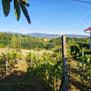 Stjepana Radića, Brdovec, 1.601,00 m2, 89.900,00 EUR