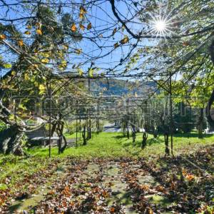 Stjepana Radića, Zgrada, 55.000,00 EUR
