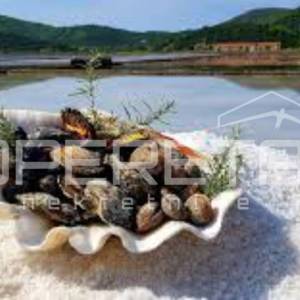 Ston – Izvrsna prilika nadomak Stonskih zidina!