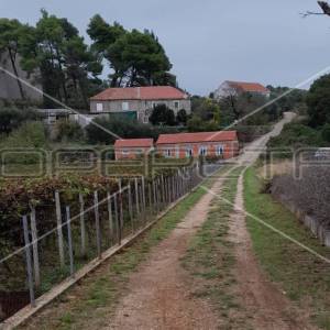 Suđurađ, Otok Šipan, Suđurađ, 29.323,00 m2, 180.000,00 EUR