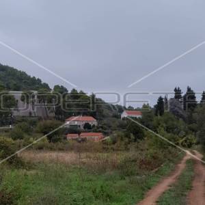 Suđurađ, Otok Šipan, Suđurađ, 29.323,00 m2, 180.000,00 EUR