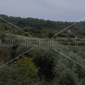 Suđurađ, Otok Šipan, Suđurađ, 29.323,00 m2, 180.000,00 EUR