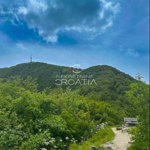 ŠUMA 11.142 m2, IVANŠČICA!