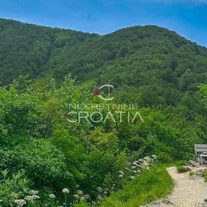 ŠUMA 11.142 m2, IVANŠČICA!
