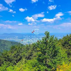 ŠUMA 11.142 m2, IVANŠČICA!