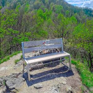 ŠUMA 11.142 m2, IVANŠČICA!