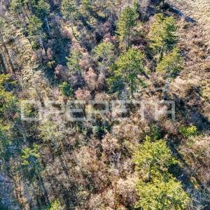 Tinjan, Tinjan, 1.410,00 m2, 135.000,00 EUR