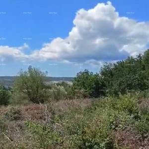 Trget (Istra) - građevinsko zemljište, predivan pogled mora!