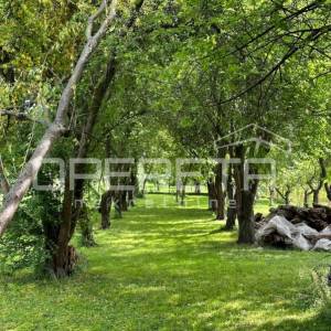 Trnovec, Trnovec, 1.281,00 m2, 34.000,00 EUR