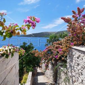 TROGIR, SEGET VRANJICA, VILA SA 3 APARTMANA