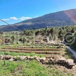 Tugare, građevinska parcela s velikim voćnjakom