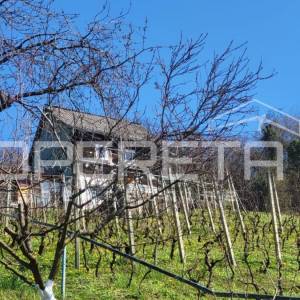 Ulica Augusta Šenoe, Sesvete, 1.300,00 m2, 80.000,00 EUR
