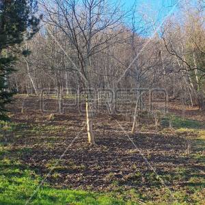 Ulica Dubravica, Gornji Stenjevec, 2.549,00 m2, 80.000,00 EUR