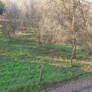 Ulica Dubravica, Gornji Stenjevec, 2.549,00 m2, 80.000,00 EUR